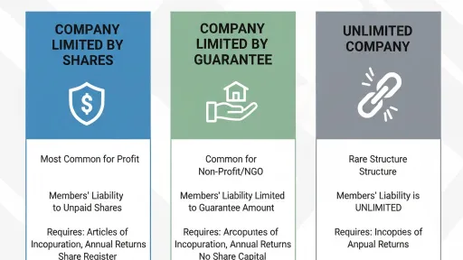 Different type of incorporated business recognised by the COJ